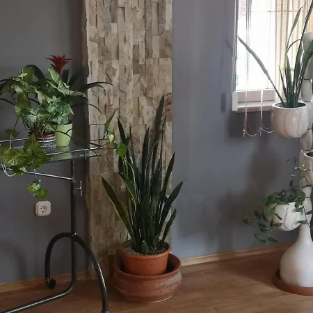 Hotello Apartmanhaz Es Panzio *